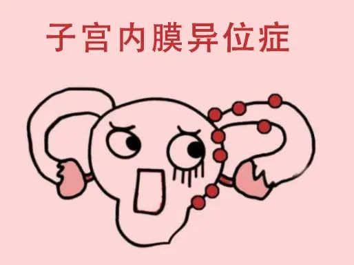 微信图片_20220812101237.jpg