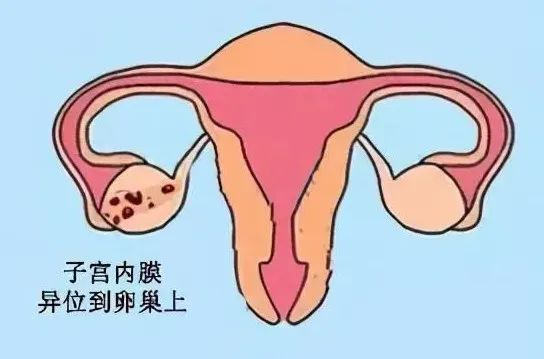 微信图片_20220812101512.jpg