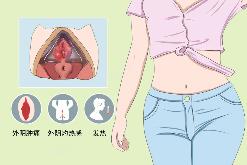 1763084999166771.png 1763084999166771.png