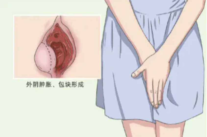 1763085022560334.png 1763085022560334.png