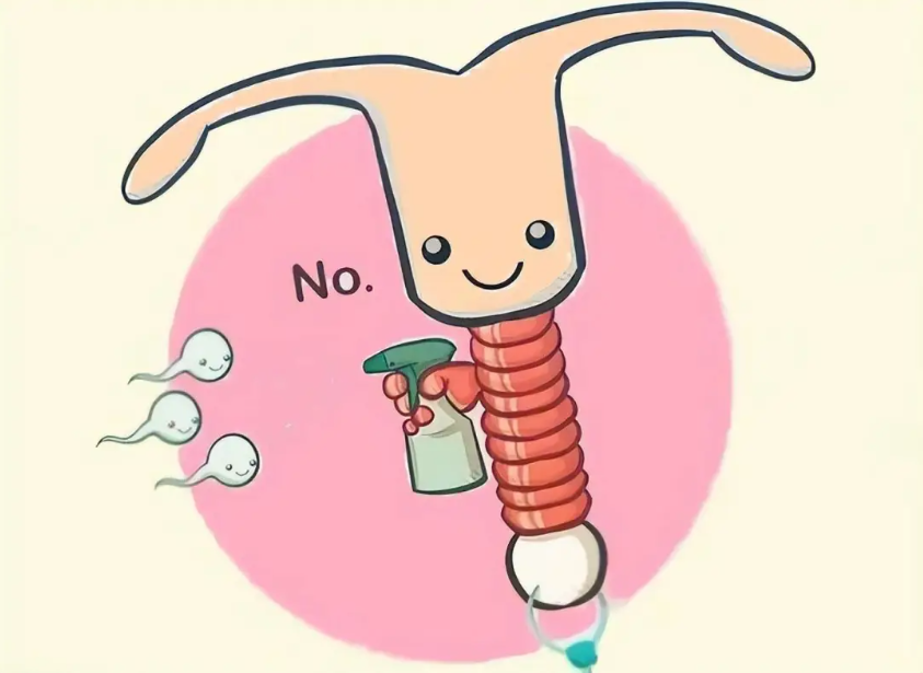 1763085848291447.png 1763085848291447.png